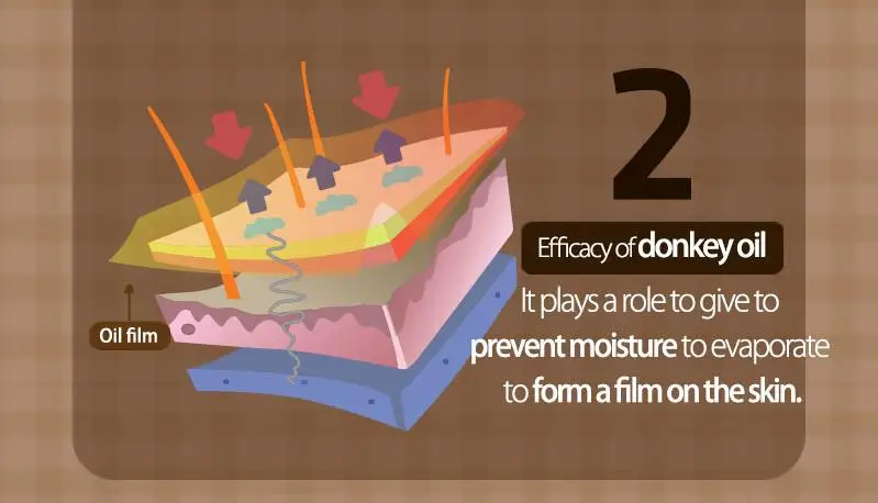 

Elizavecca Silky Creamy Donkey Steam Moisture Milky Cream 100ml Wrinkle Remover Instant Moisturizing Skin Care Korean cosmetics