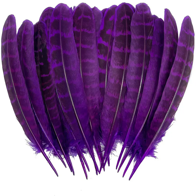 

20pcs pheasant feathers for crafts diy plumas decorativas wedding Chicken Plumes needlework jewelry clothes accessories 10-15cm