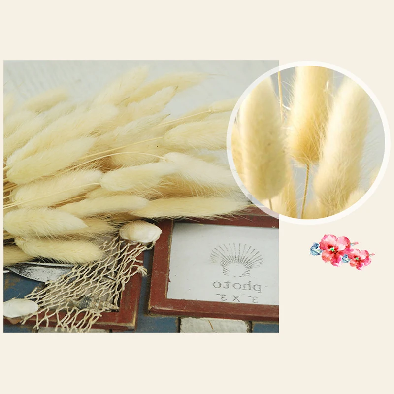 

50 Pcs Dried Flower Grass Decoration Photography Props for Home Store Wedding AUG889
