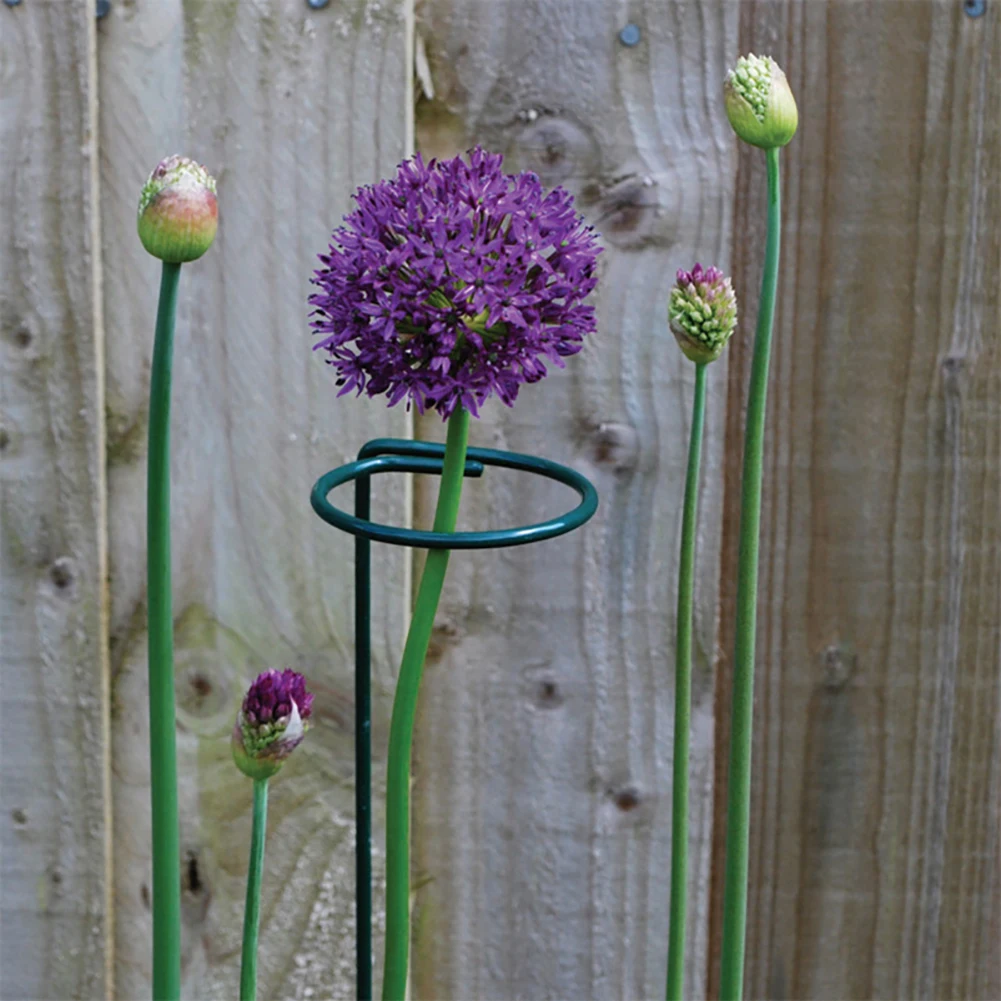 

5pcs/10pcs Plant Support Bracket Gardening Support Stake Gardening Garden Stem Plant Cage Support Rings 40cm/15.8inch