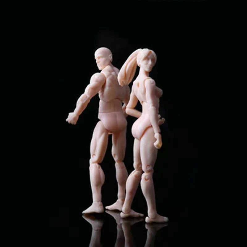 1Pcs Anime Archetype He She Ferrite Movable Body Feminino Kun Chan PVC Action Figure Model Toys Doll for Collectible | Игрушки и хобби