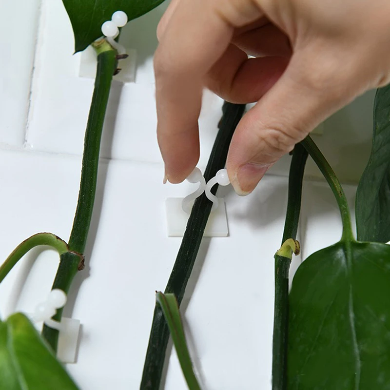 

Самоклеящаяся застежка для подъема растений, настенный крючок для садовых растений, фиксированная пряжка