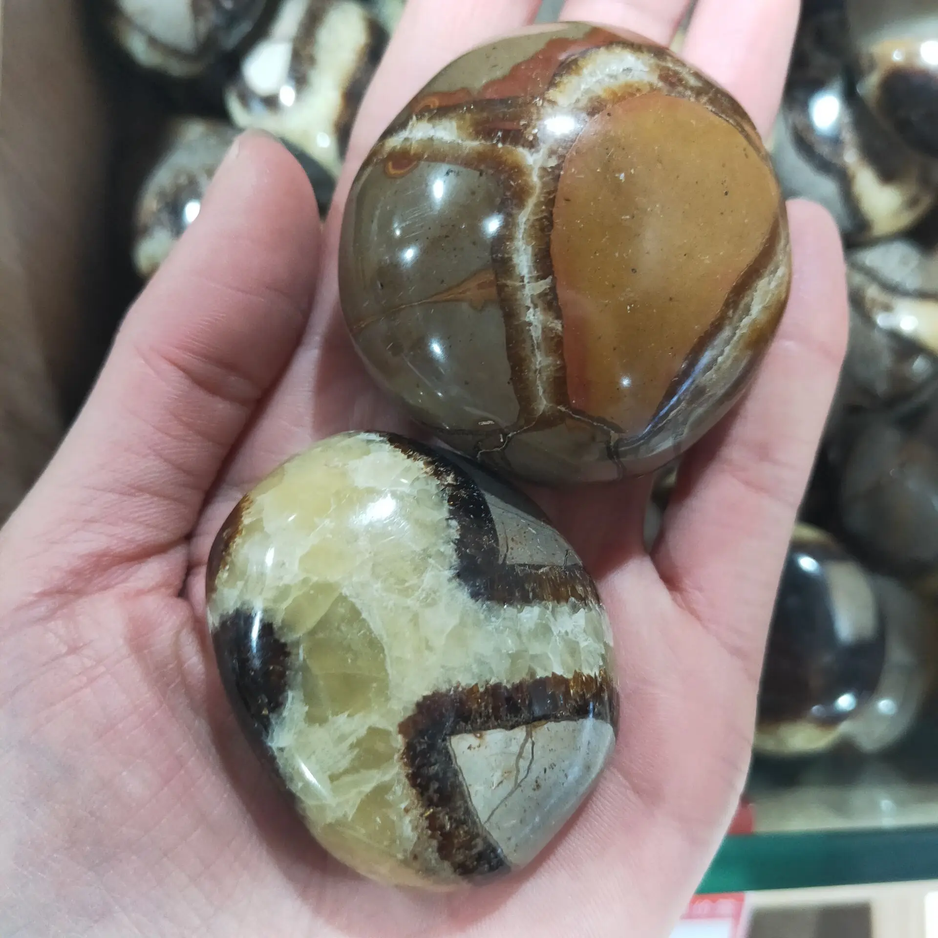1 шт. натуральный Septarium Septarian ладони массаж камнями минеральные образца целебный