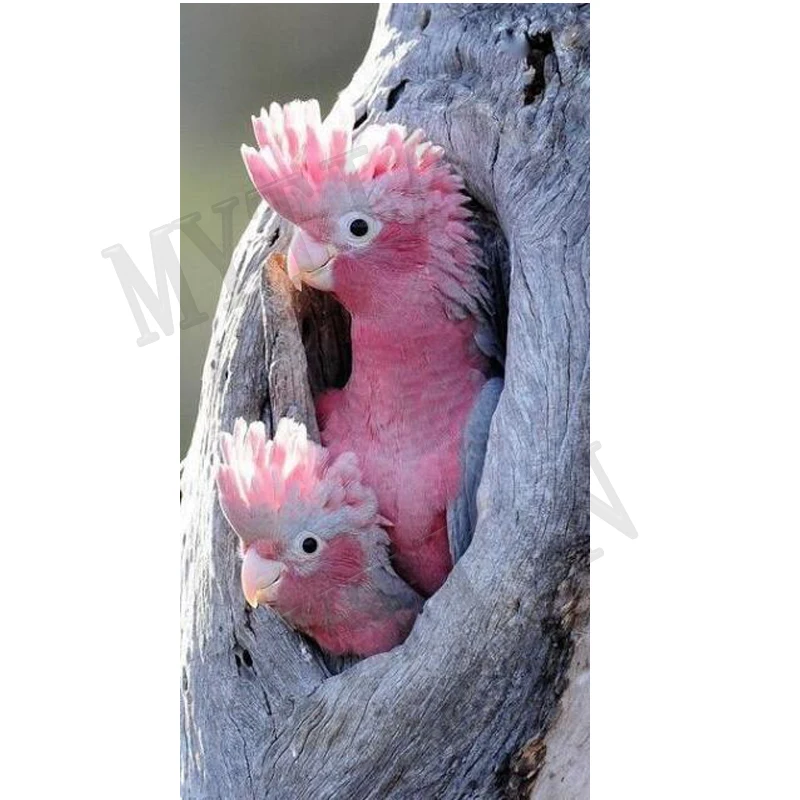 Алмазная 5d картина стразы с розовым попугаем полноразмерная мозаика отверстиями