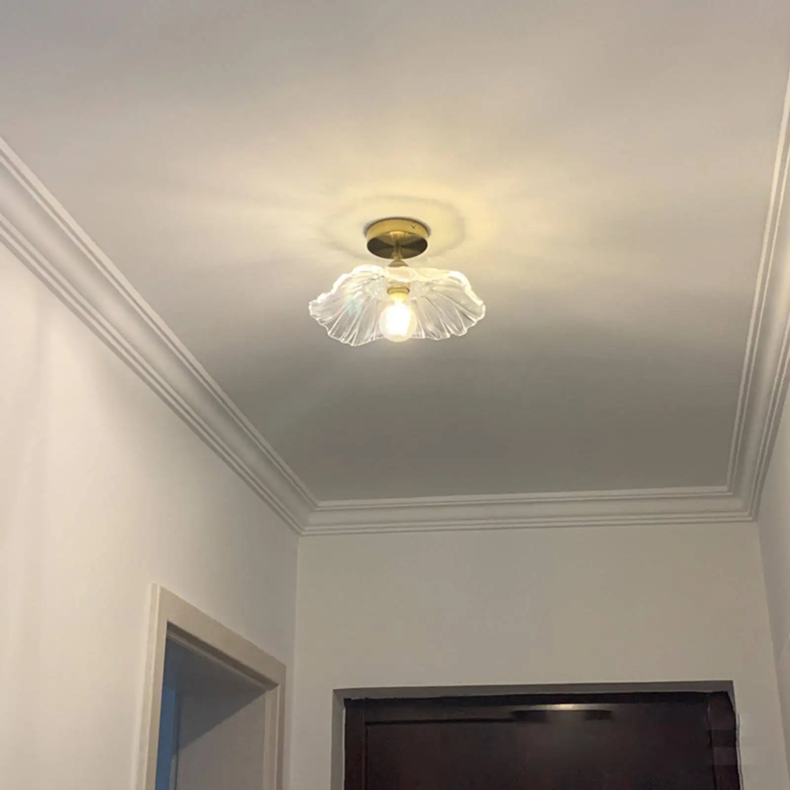 

Three-Color Dimming Ceiling Light LED Lamp Lighting Fixtures Modern for Aisle Dining Room Corridor Indoor Home
