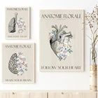 Плакаты, винтажная Цветочная Анатомия  Сердце, мозг, легкие  Пастельные цветы  Богемная печать  Декоративная анатомическая стена  Цифровая печать