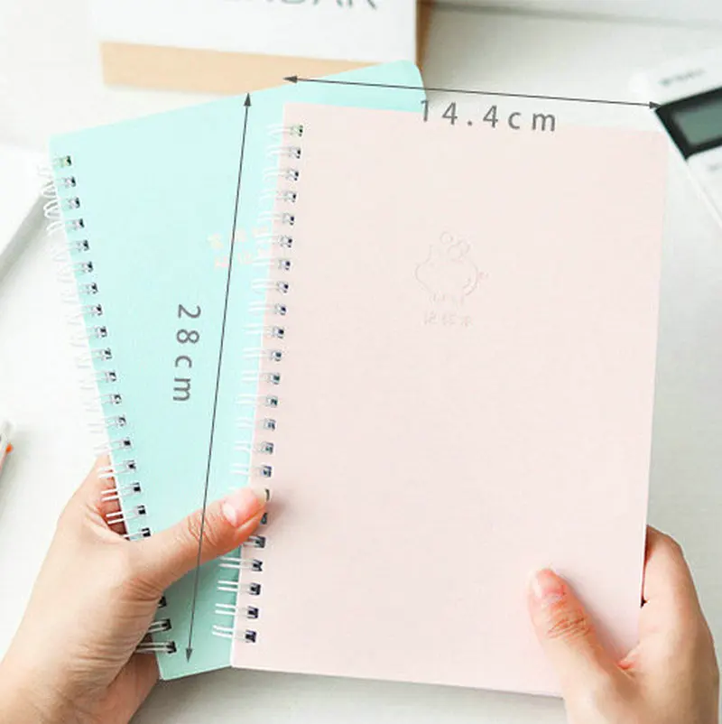 Бухгалтерия семья финансы Ноутбук маленький ленивый наличные журнал