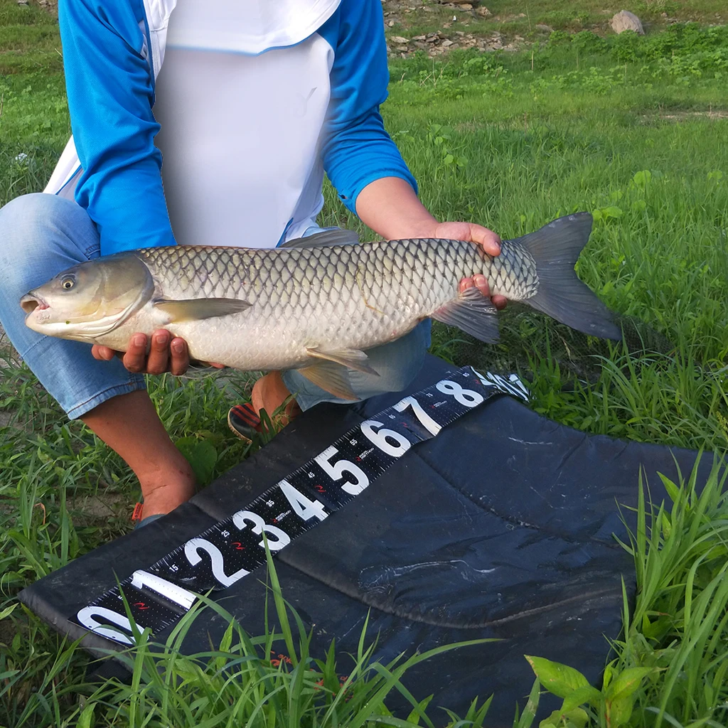 

Carp Fishing Protection Padded Foldable Unhooking Mat 109 x 69cm Green