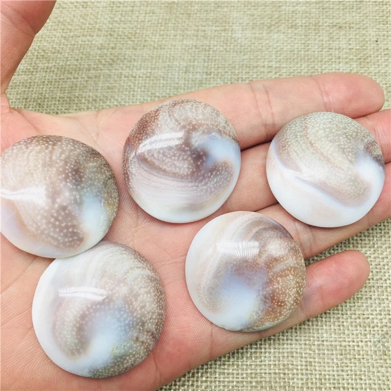

High Quality 1-5pcs Natural Sun shell fossil Fossil circular Specimen Crystal Love Heart Reiki LU