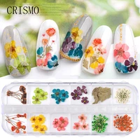 crismo mix dried flowers nail decorations jewelry natural floral leaf stickers 3d nail art designs polish manicure accessories
