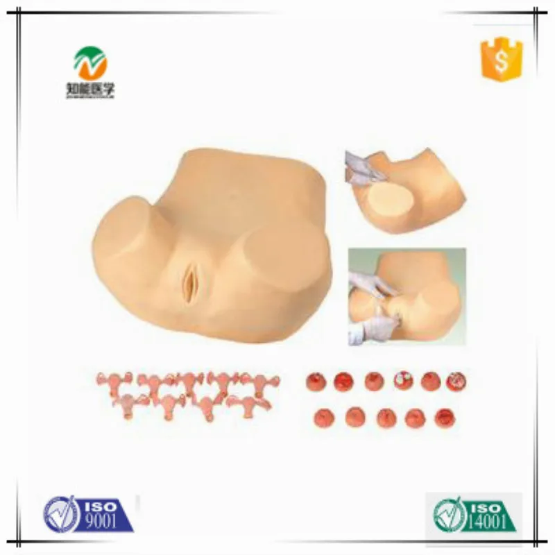 Модель гинекологического осмотра для студентов медицинских работников BIX-FS |