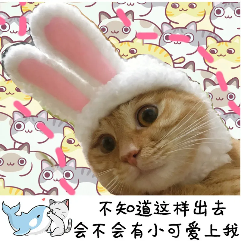 

2021 novo de gato traje quente coelho festa de ano novo natal cosplay foto