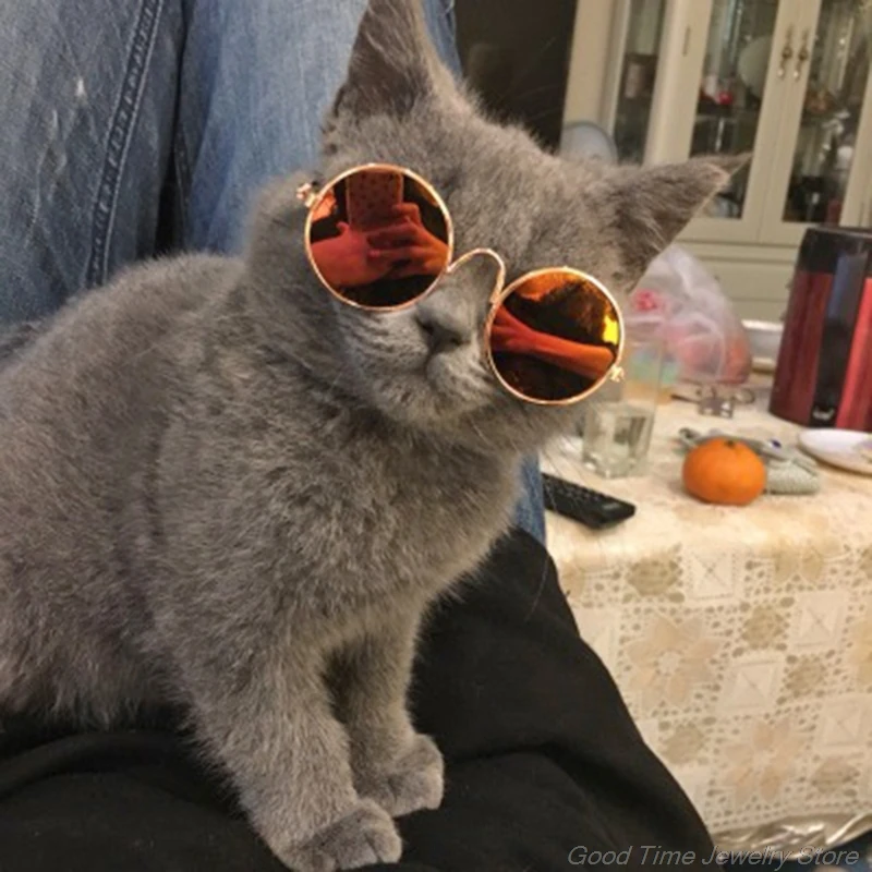 

Doll Cool Glasses Pet Sunglasses for bjd Blyth Toy Photo Props My13 21 Dropshipping
