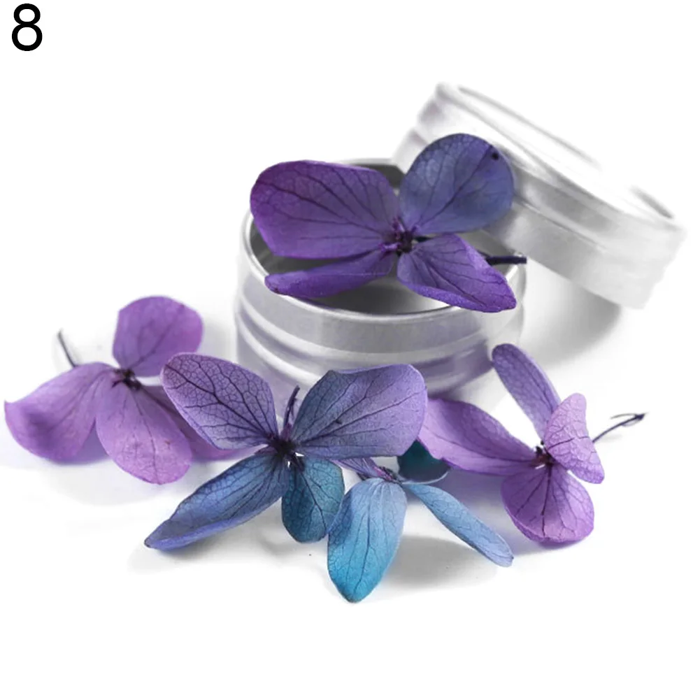 

hot sale Dried Flowers DIY Nail Art Decoration Fake Tips Stickers Manicure Tools Nail Art Dried Flowers DIY easy to use