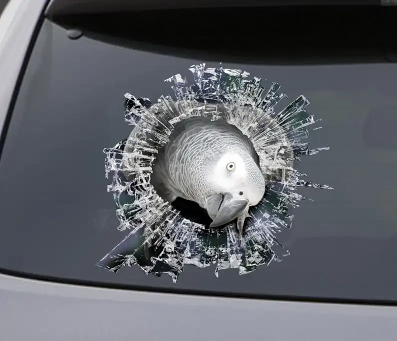 

2021 STICKER, african grey window sticker, car sticker, parrot car decal, funny sticker