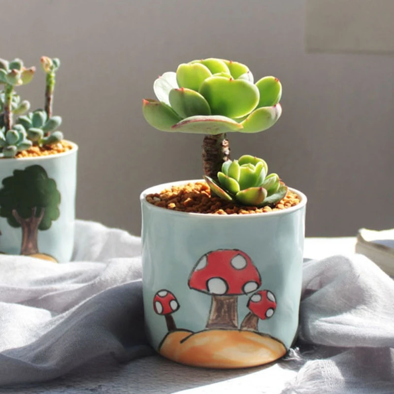 

Ceramic Flowerpot Hand Painted Succulent Plant Pot Desktop Home Office DIY Decoration