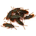 10 шт. 20 шт. поддельные тараканы Новинка тараканы жуки реалистичные насекомые выглядят на Хэллоуин день дурачий трюк вечевечерние игра игрушки
