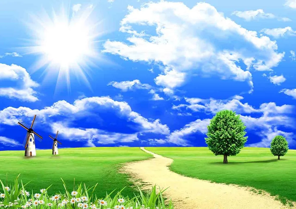 

Vinyl Custom Photography Backdrops Prop Summer Scenery theme Photo Studio Background YH19428-209