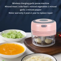 electric food garlic vegetable chopper grinder crusher rechargeable onion multi function processor for nut meat fruit kitchen