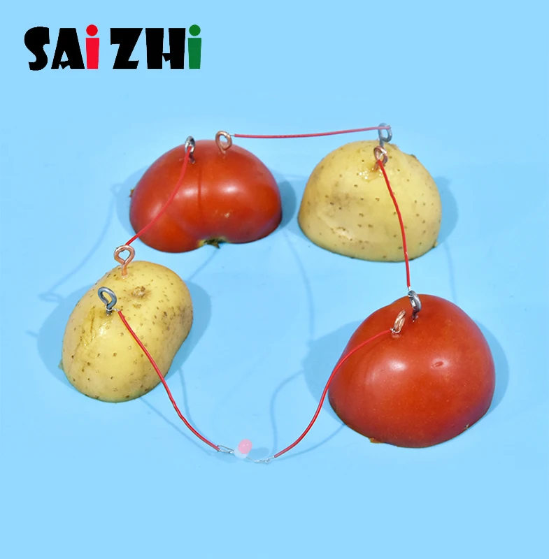 Saizhi модель игрушка &quotсделай сам&quot растительного плоды колы Батарея разработке