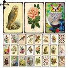 Винтажные животные, металлический знак, насекомые, растения, потертый оловянный плакат, металлический налет, попугай, птица, металлическая пластина для мужчин, пещера