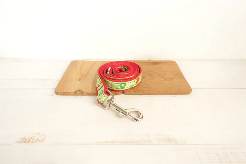 Собачий ошейник с гравировкой на заказ удостоверение личности щенка набор