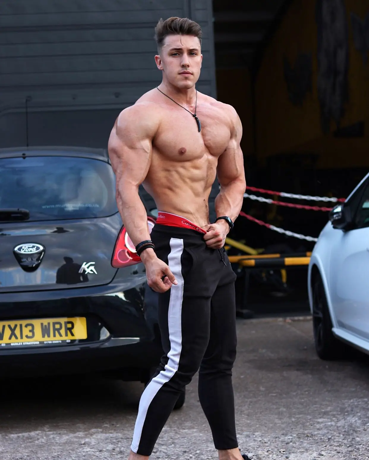ALPHALETE, мужские повседневные брюки для пробежек, фитнес, мужская спортивная одежда, спортивный костюм, штаны, обтягивающие спортивные штаны, спортивные штаны, спортивные штаны