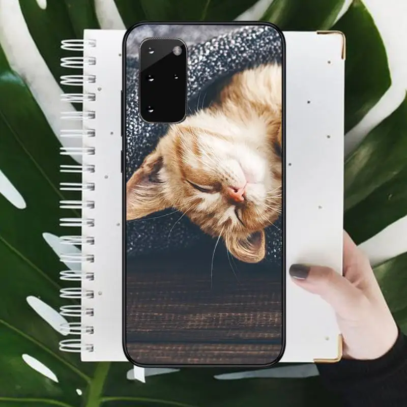 

Lovely animal cat Phone Case For Samsung galaxy S 9 10 20 A 10 21 30 31 40 50 51 71 s note 20 j 4 2018 plus Luxury brand shell