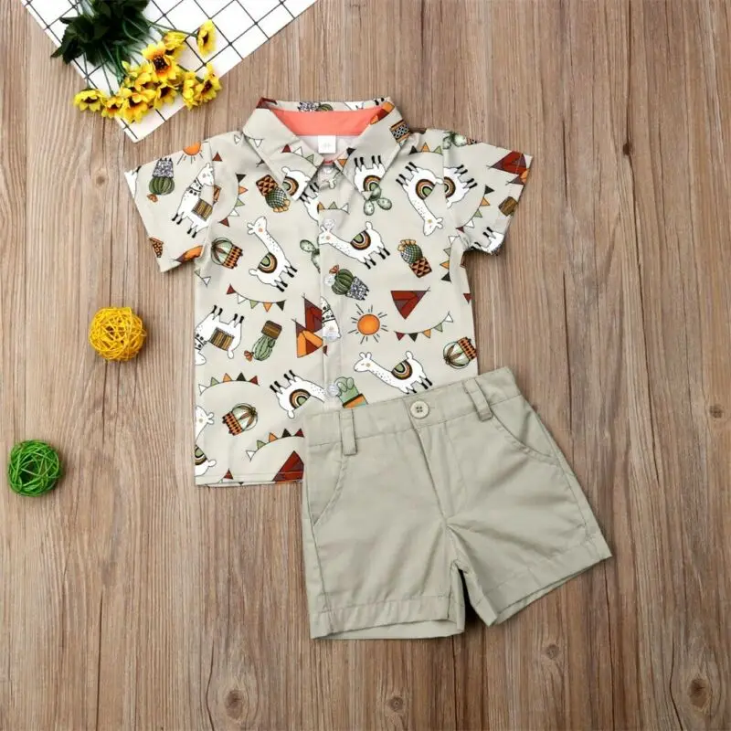 

1-5Years Toddler Newborn Kids Baby Boy Clothes Sets Animal Print Tops Shorts Pants Outfits Children Boy Clothing Outfits