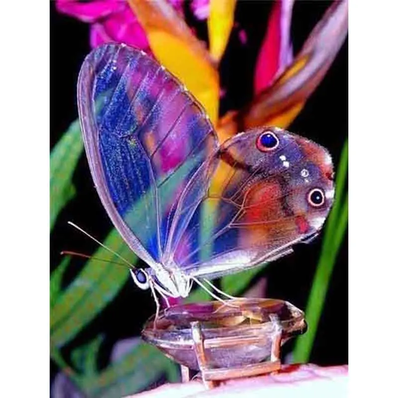 

DIY 5D Diamond Painting Butterfly Full Round Drill Diamond Embroidery Flowers Cross Stitch Kit Mosaic Rhinestone Home Decor Gift