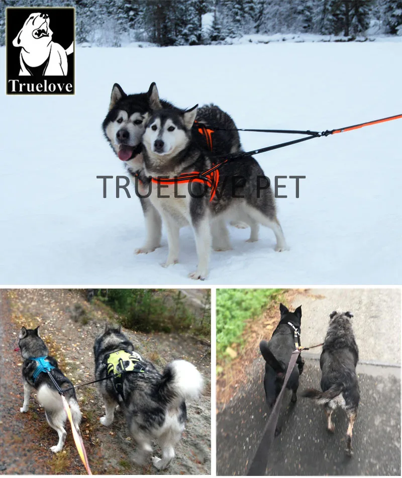 Truelove поводок для собак, двойные поводки для бега, прогулок, собаки, питомца, светоотражающий Нейлоновый Регулируемый поводок для двух собак, маленьких, средних и больших собак