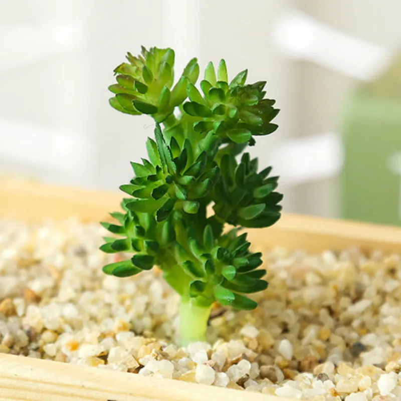 colorful Artificial Succulents Plants Wedding Home Garden Decorations art fake fat plant Flower Arrangement Accessories Bonsai | Дом и сад