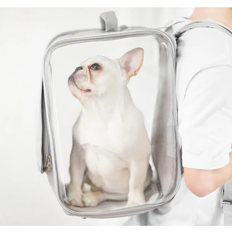 Рюкзак переноска для кошек двусторонний дышащий прозрачный рюкзак и собак