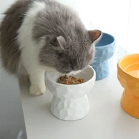 ceramic cat bowl dog bowl pet food and water bowls feeder with raised stand bone cervical protect food water cat bowl