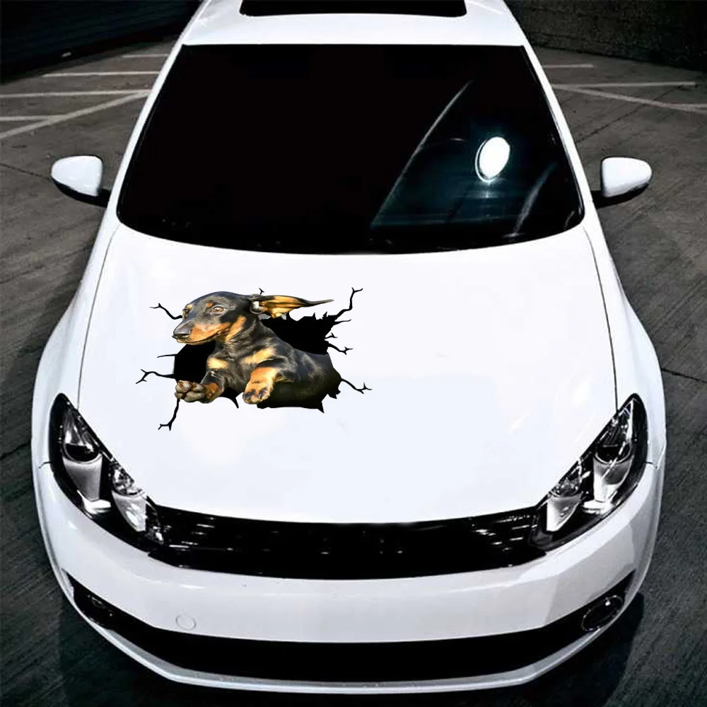 

2021 Animals Crack Car Sticker Paper Simulation Innovative Glass Window Sticker Car Decoration
