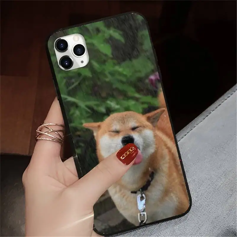 

Corgi Shiba inu Dog cute animal Phone Case for iPhone 11 12 pro XS MAX 8 7 6 6S Plus X 5S SE 2020 XR