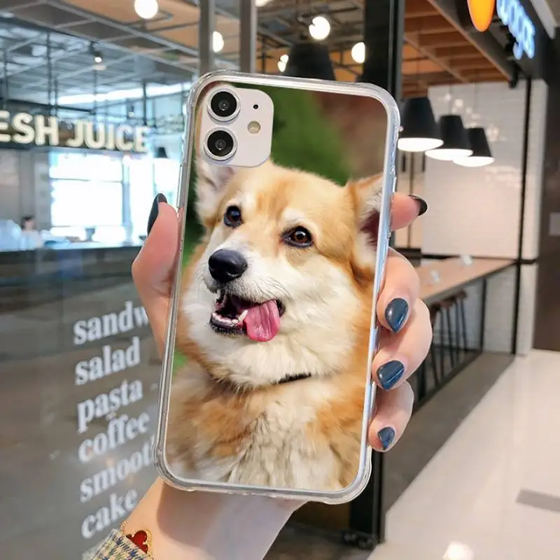 

Cute Corgi Dog Phone Case Transparent for iPhone 11 12 mini pro XS MAX 8 7 6 6S Plus X 5S SE 2020 XR