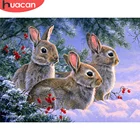 HUACAN 5D DIY Алмазная картина кролик полный квадратный Круглый Алмаз Вышивка животное мозаика картина Стразы Декор для дома