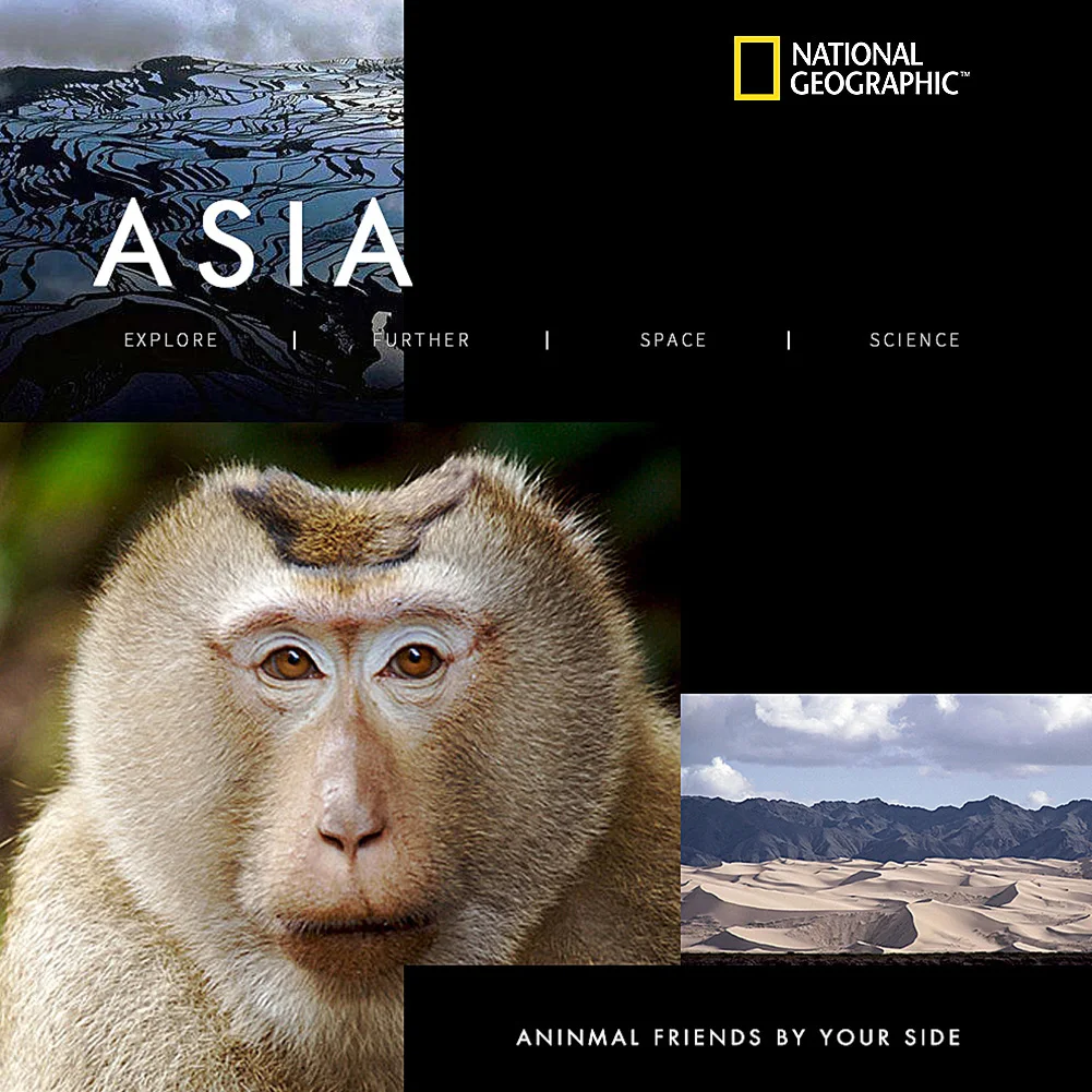 Обезьянка с северным хвостом плюшевая кукла милая обезьянка мягкие животные