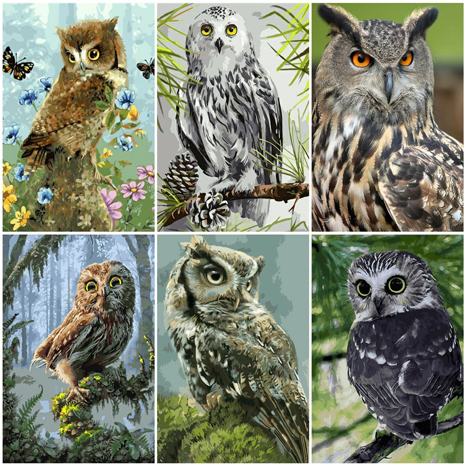 AZQSD масла Краски ing по номерам животных Акриловые изображение для Гостиная