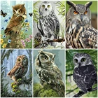 AZQSD масла Краски ing по номерам животных Акриловые Краски изображение для Гостиная украшения дома Раскраска по номерам Сова уникальный подарок