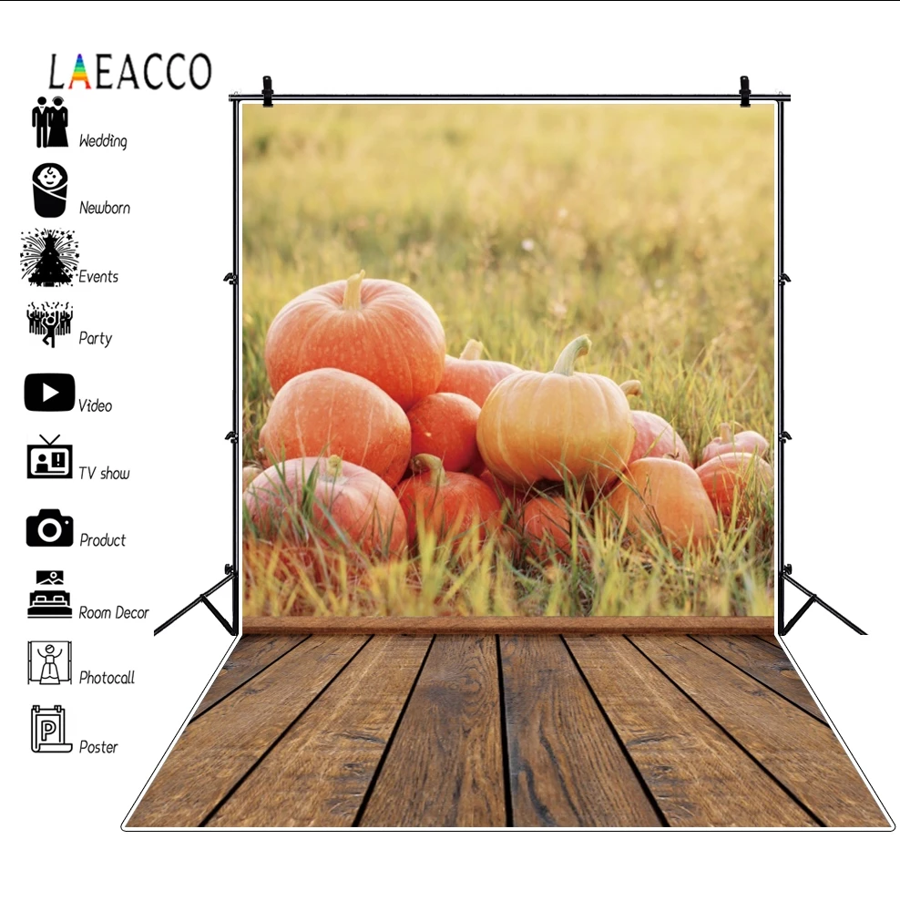 

Laeacco Autumn Scenery Grassland Pumpkin Wooden Floor Baby Portriat Photography Backgrounds Photographic Backdrops Photo Studio