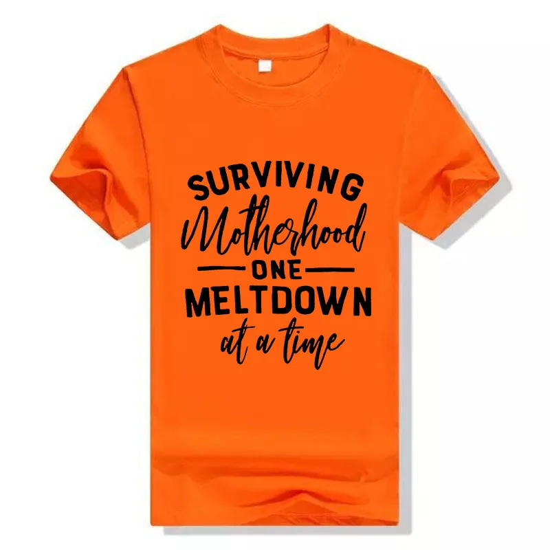 

BTFCL Funny SURVIVING MELTDOWN Print Grey T Shirt Women Men New Summer Cotton Korea Hip Hop Shirt Harajuku Christmas Tshirt