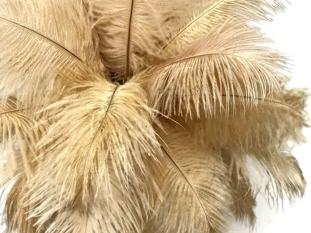 

10PCS Camel High Quality Ostrich Feather 6-8 inches/15-20 cm Natural Feathers for DIY Crafts Wedding Decoration Plumage