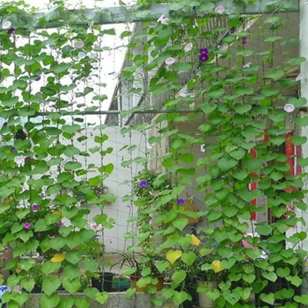 

Plant Net Gardening Plant Climbing Net Climbing Net Planting Useful High Quality Vegetable Trellis Netting Orchard