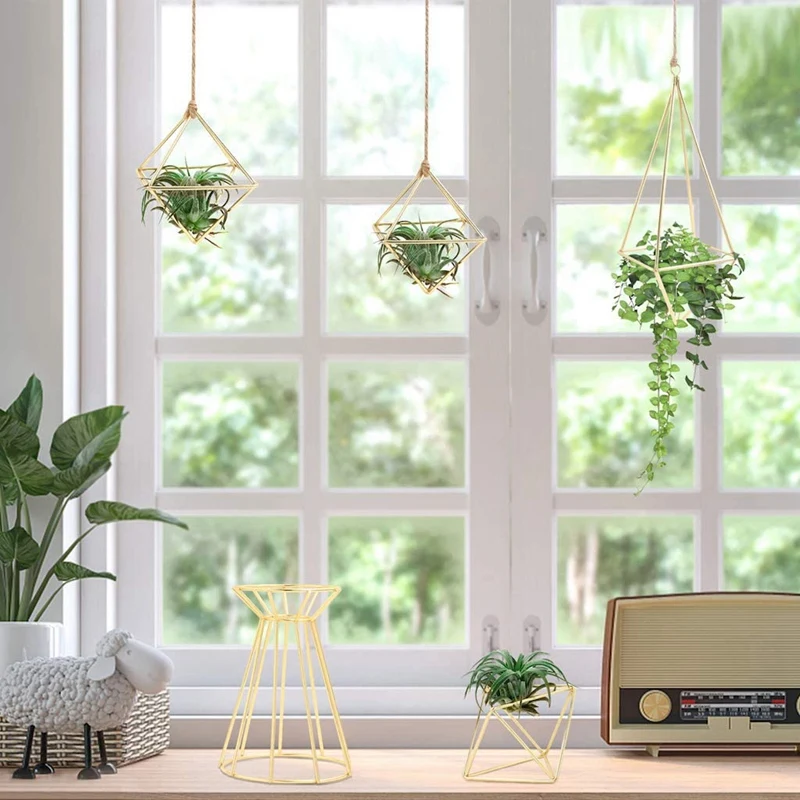 

Air Plant Holder Metal Air Plant Stand Base Indoor Tabletop Display Big Air Plant Stand Air Plant Racks for Home Office
