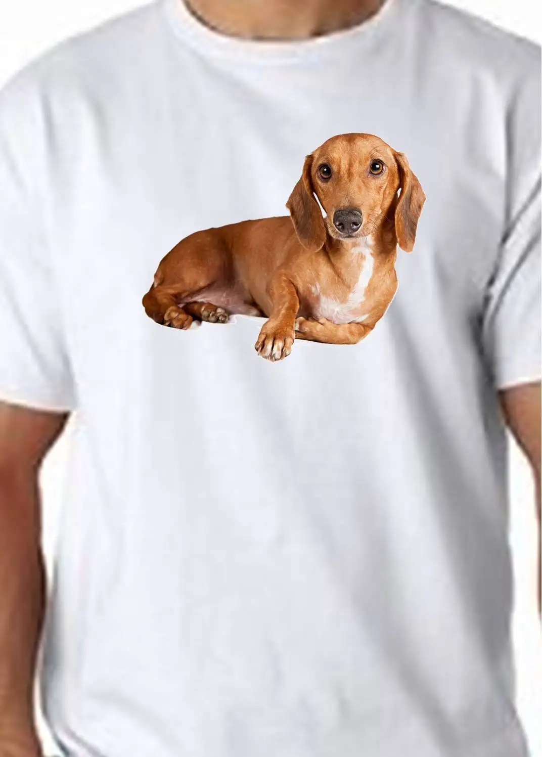

Dachshund Sausage Dog T Shirt Dogs Canine Animal Pets Print T-shirt Men Short Sleeve O-neck Cotton Tees Tops Streetwear