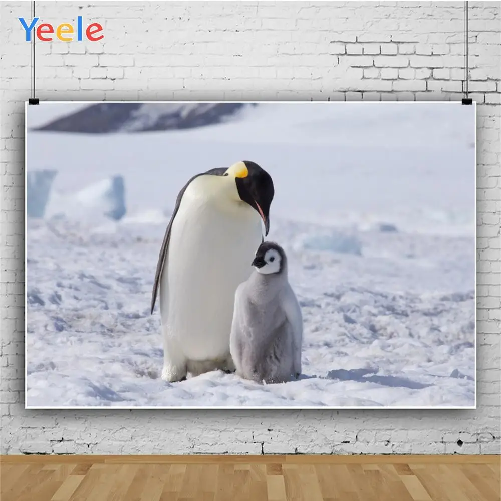 Yeele с изображением антарктических пингвинов Снежный портрет фотографии фоны