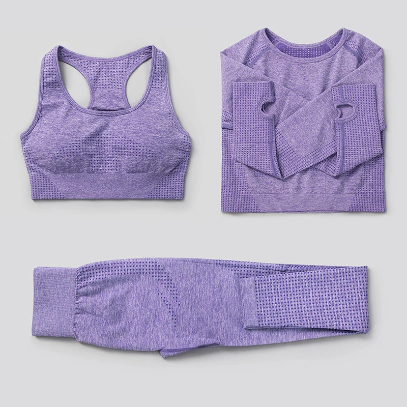 

Set de 3 uds de Yoga sin costuras, ropa deportiva para gimnasio, ropa de Yoga para mujer, ropa deportiva