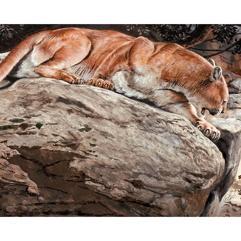 

Oil Painting By Number Leopard Animal On Canvas Hamde Art Framed 40x50 Coloring Craft For Adults Kits Picture By Number Decor